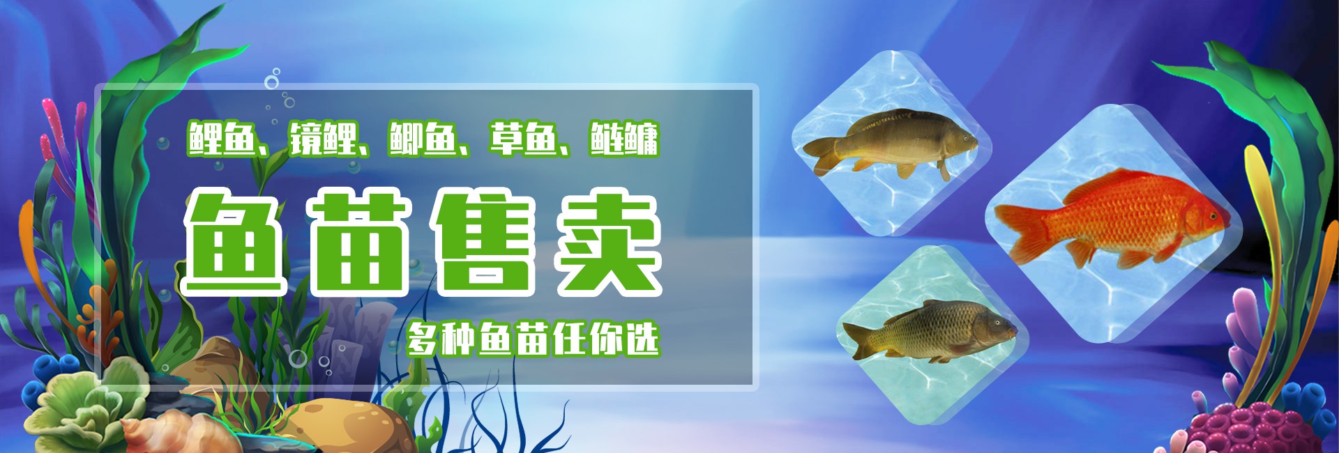 &#20248;&#20048;&#22253;