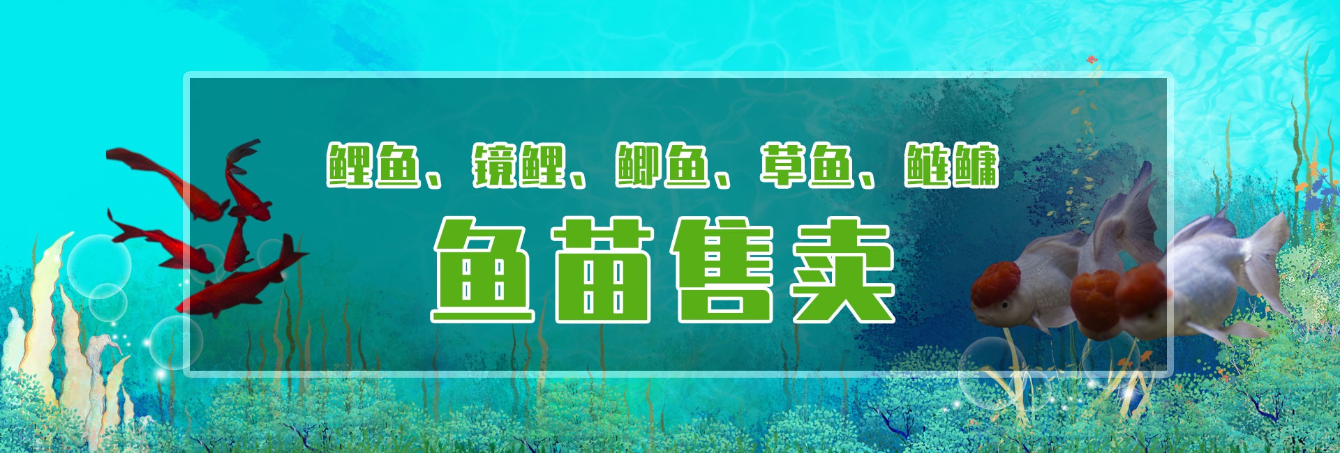 &#20248;&#20048;&#22253;